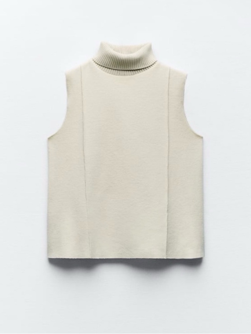 Zara Soft Turtle Neck Top